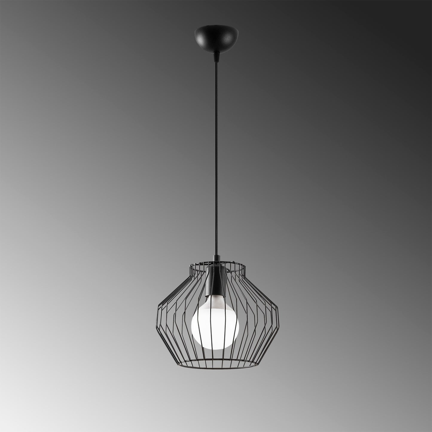 Luster, 584TTM1419