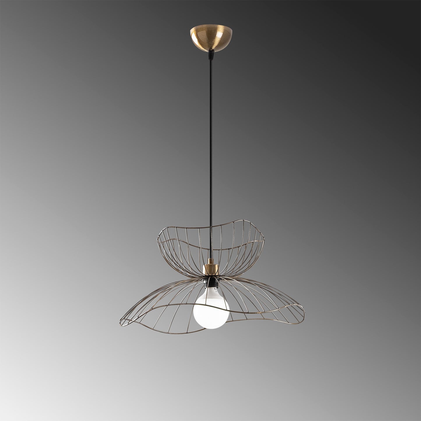 Luster, 584TTM1469