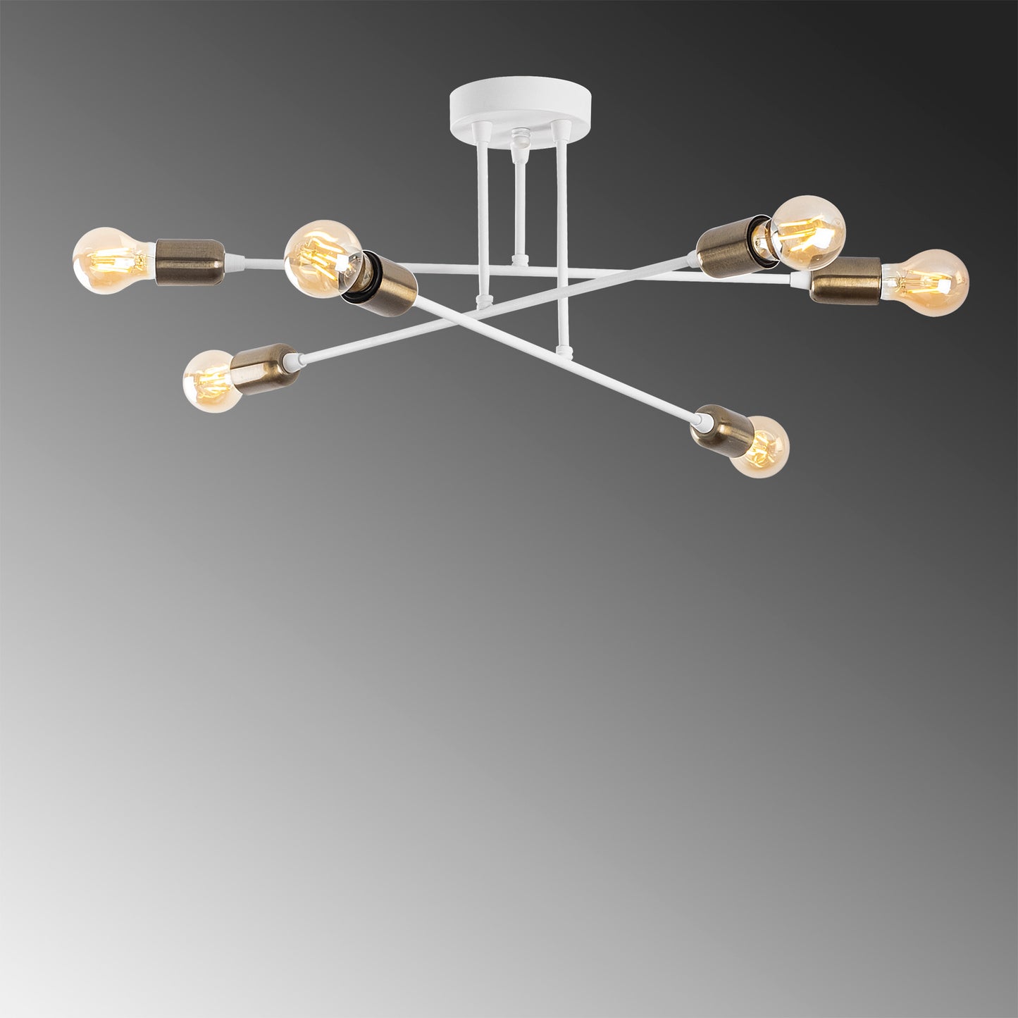 Luster, 584TTM2106