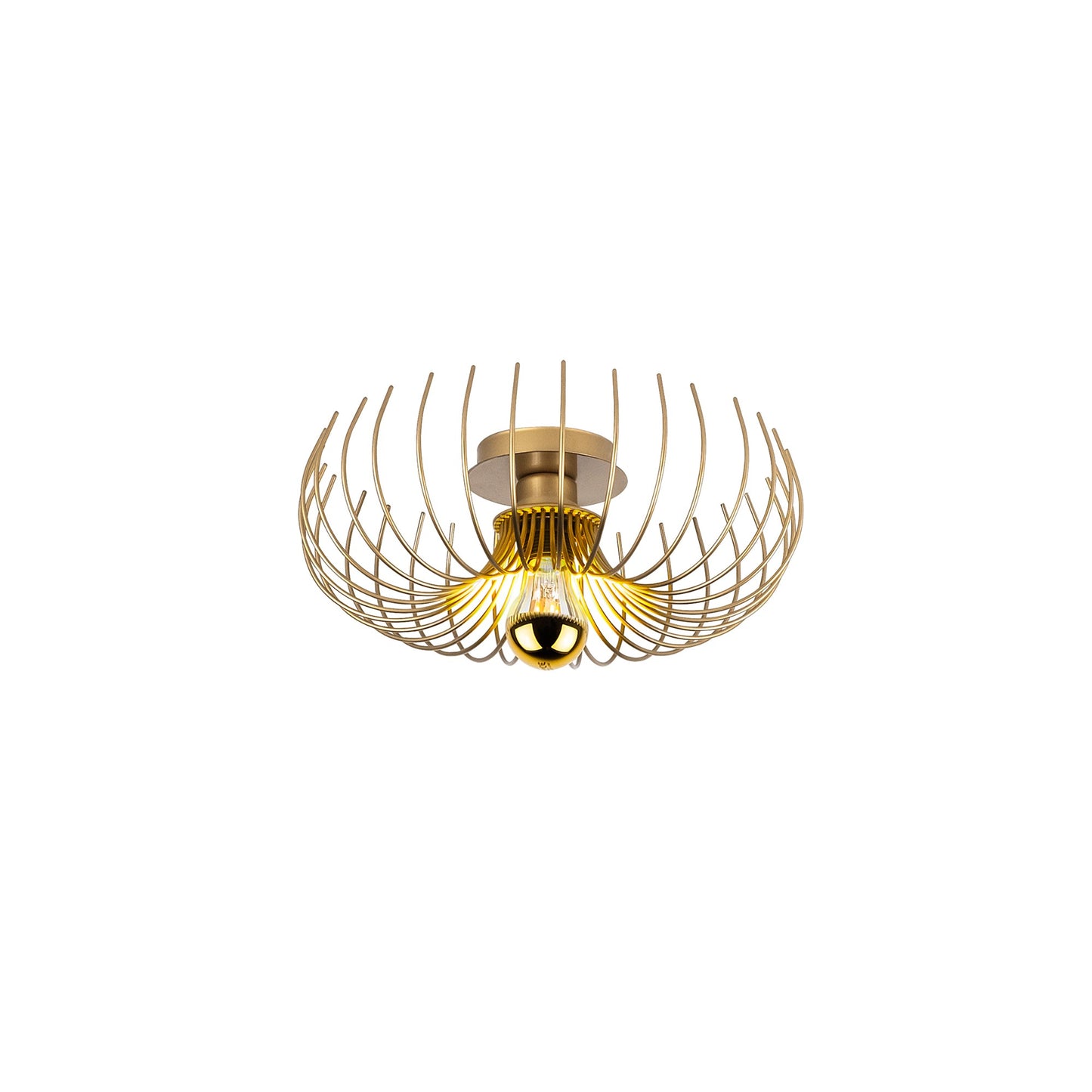 80f08cb33f6d5e22449628d86033df29