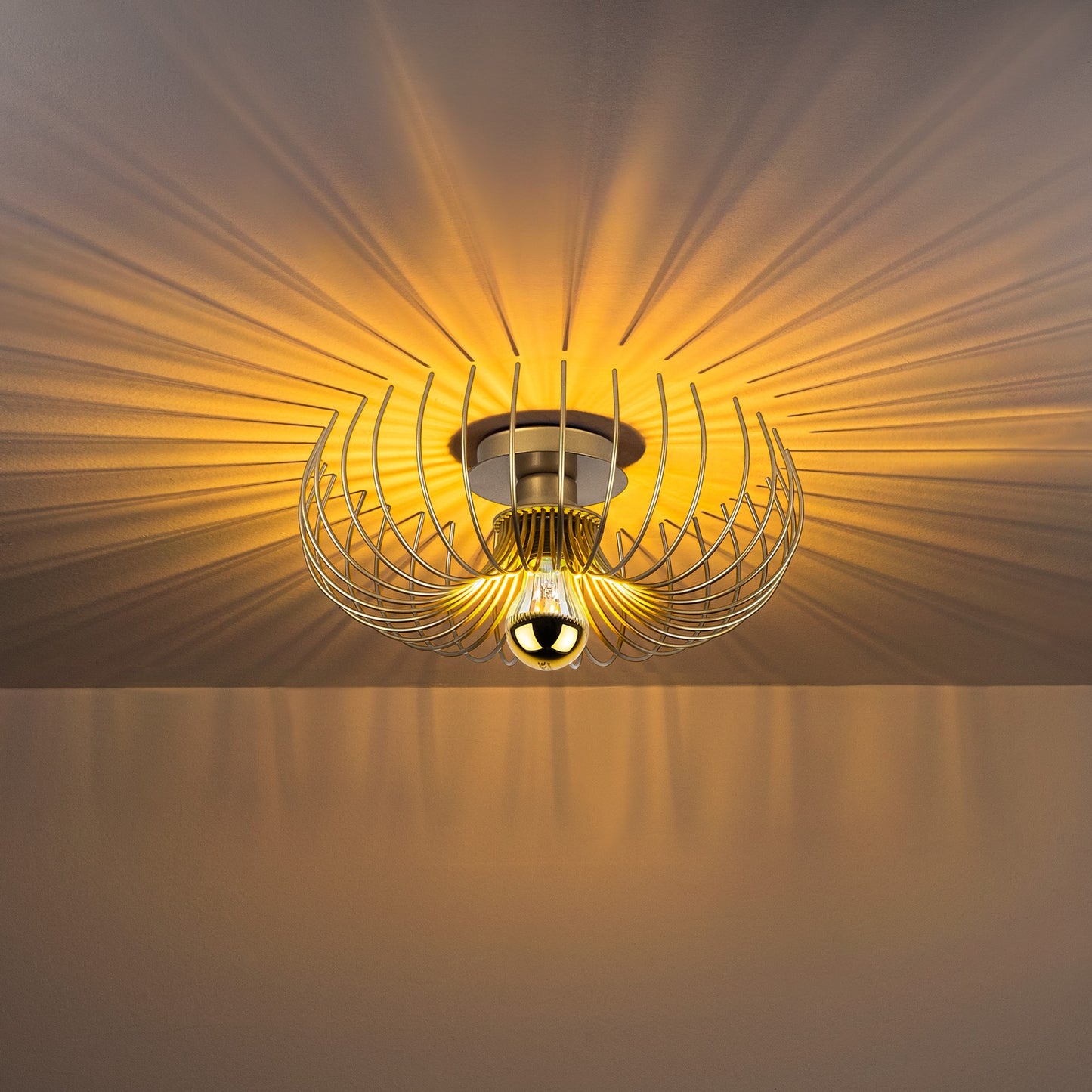 ce6ca3da95210988fbf2fecde27e6c2a