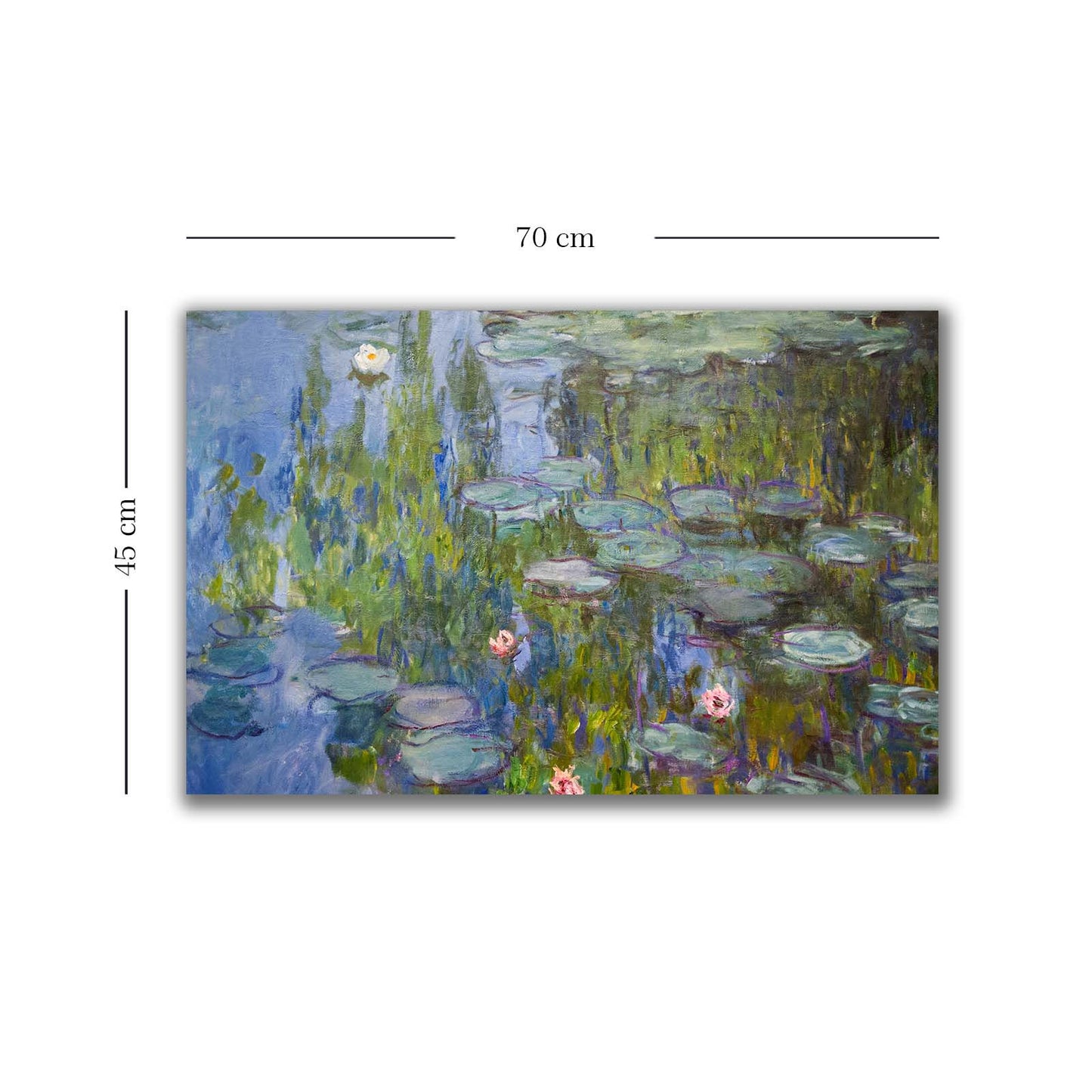 Ukrasna slika na platnu 4570MONET016