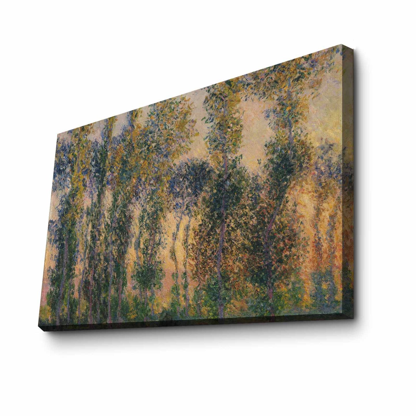 Ukrasna slika na platnu 4570MONET017