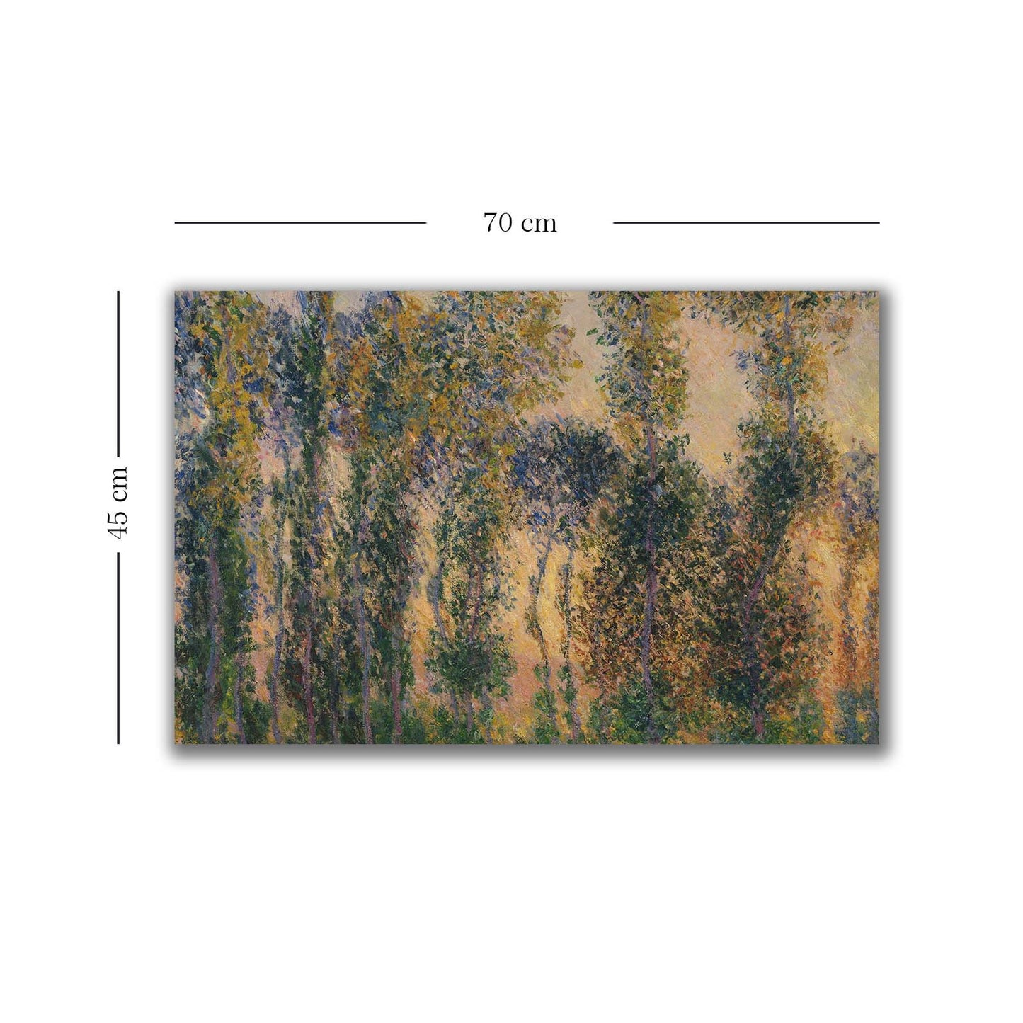 Ukrasna slika na platnu 4570MONET017