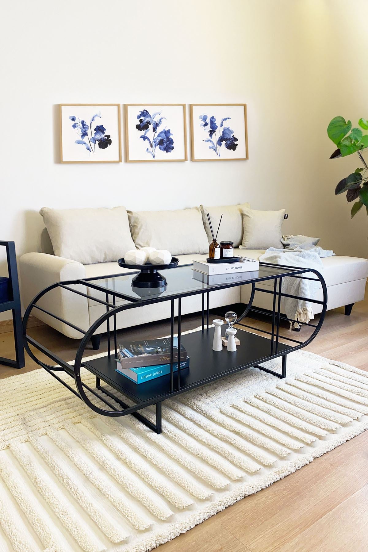 5a9eb0bc889b9d9a25da7c84321b9e76