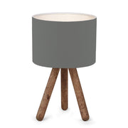Stolna lampa, 780SGN2574