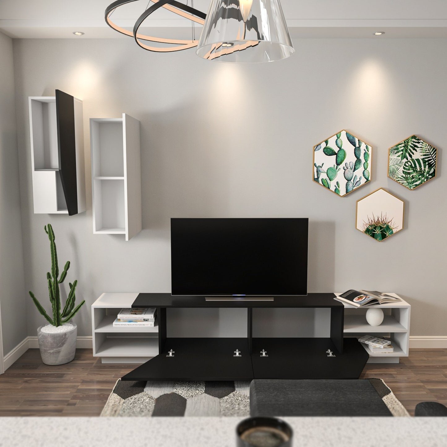 TV jedinica, Zebra - Black, White