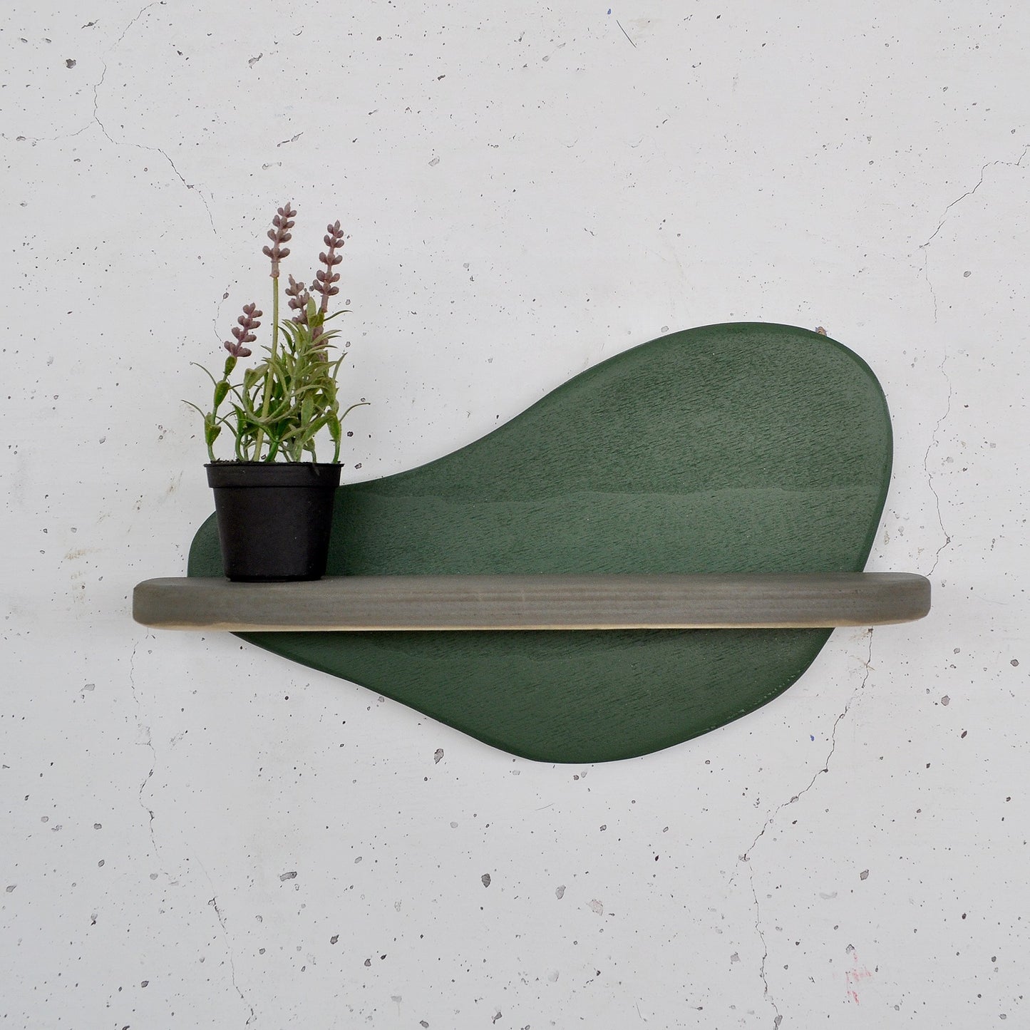 6a0ba2115a093a1fa24181ffb4232537