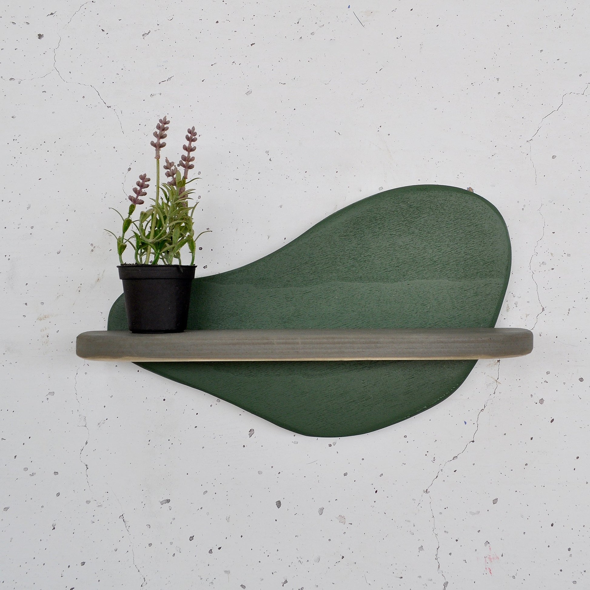 6a0ba2115a093a1fa24181ffb4232537