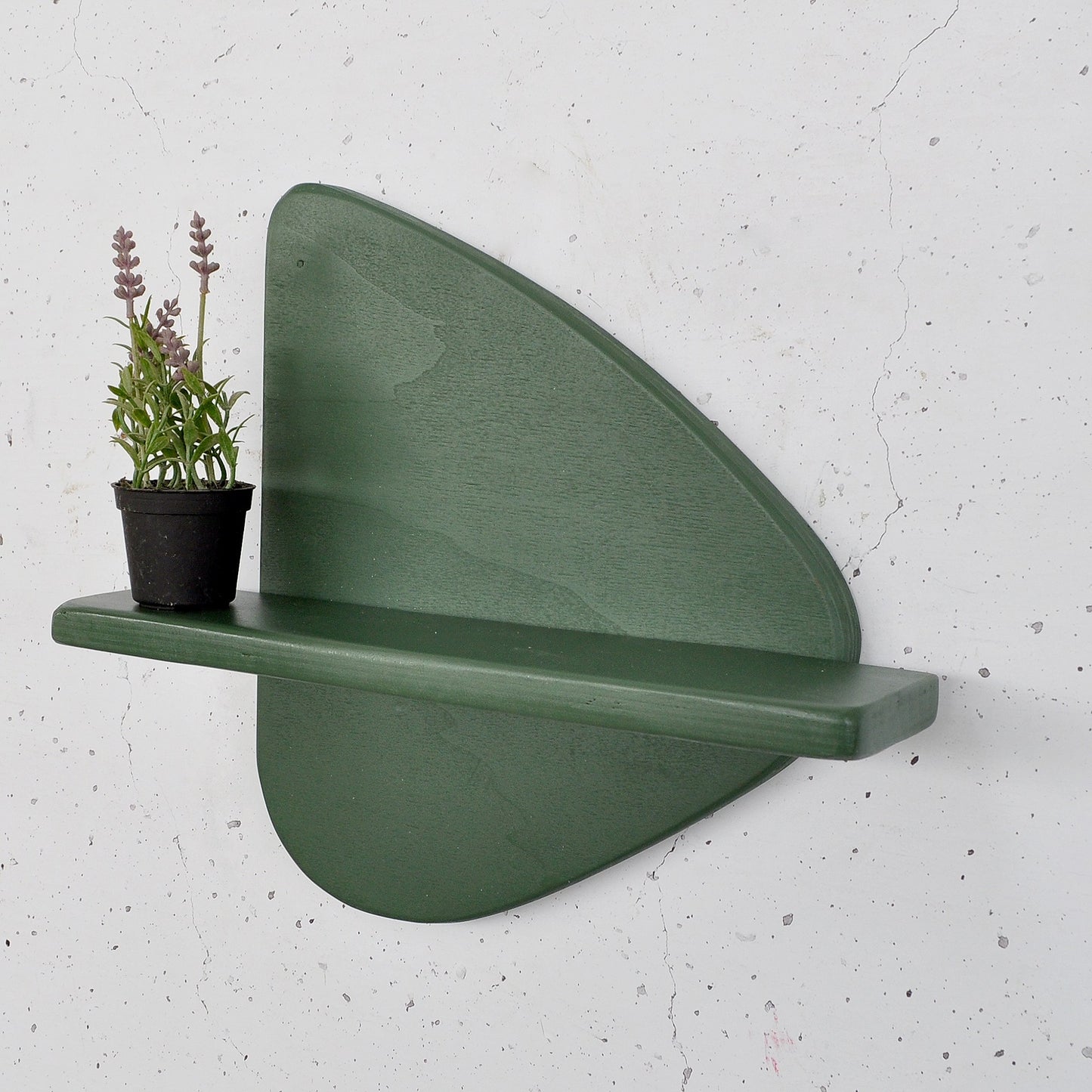 8402857eb258b76e30bacea577c9d984