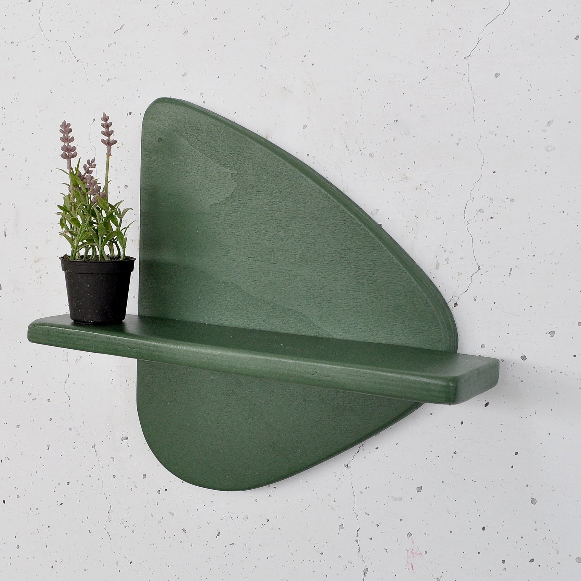 8402857eb258b76e30bacea577c9d984