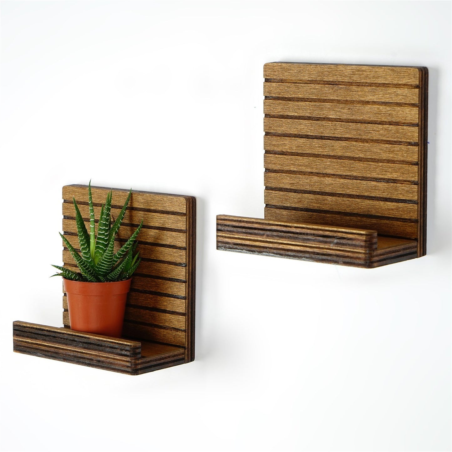 43eeadab8af605705c3e810c0bd427f4