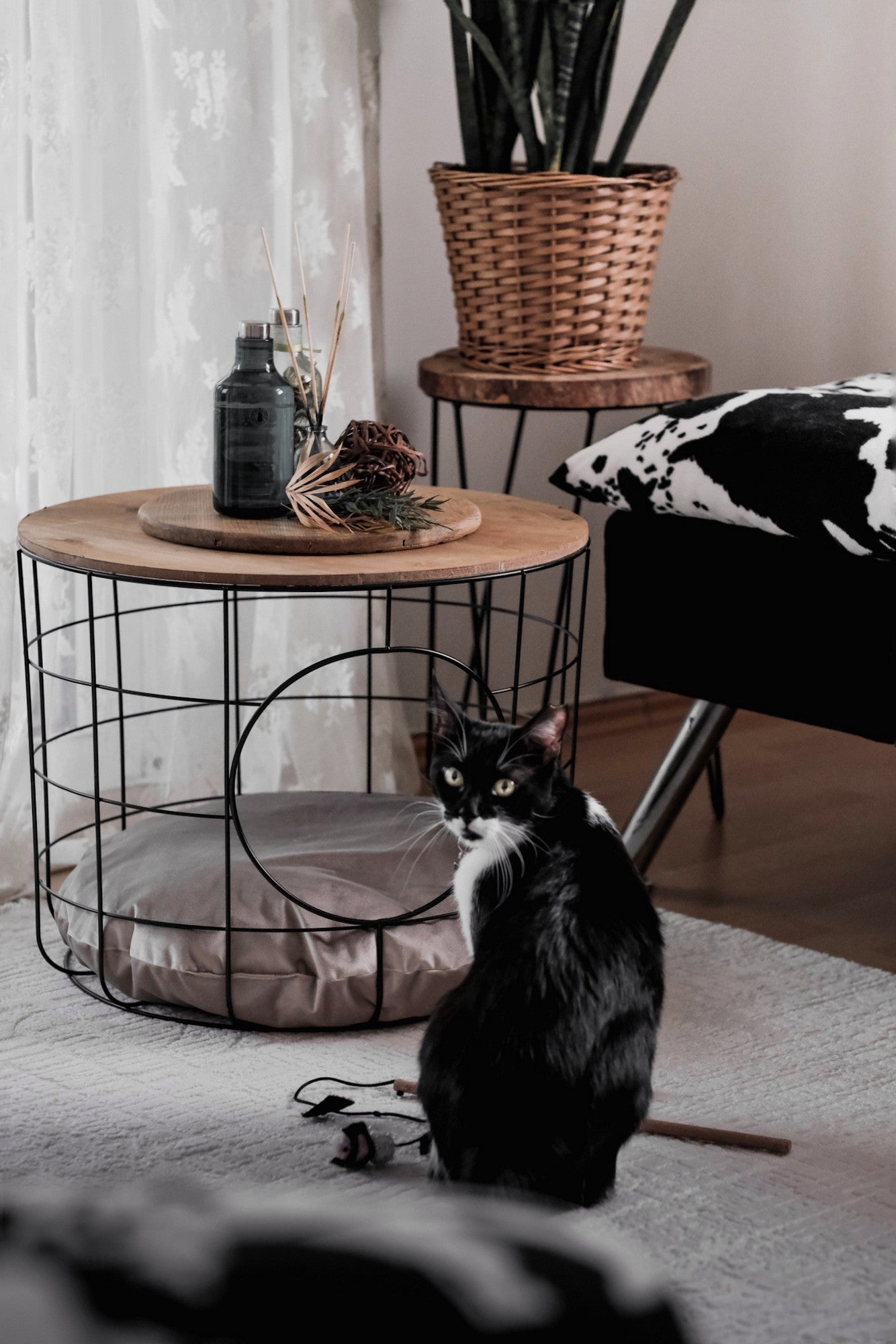 46b29f12862ded426484bb20bbe31caa