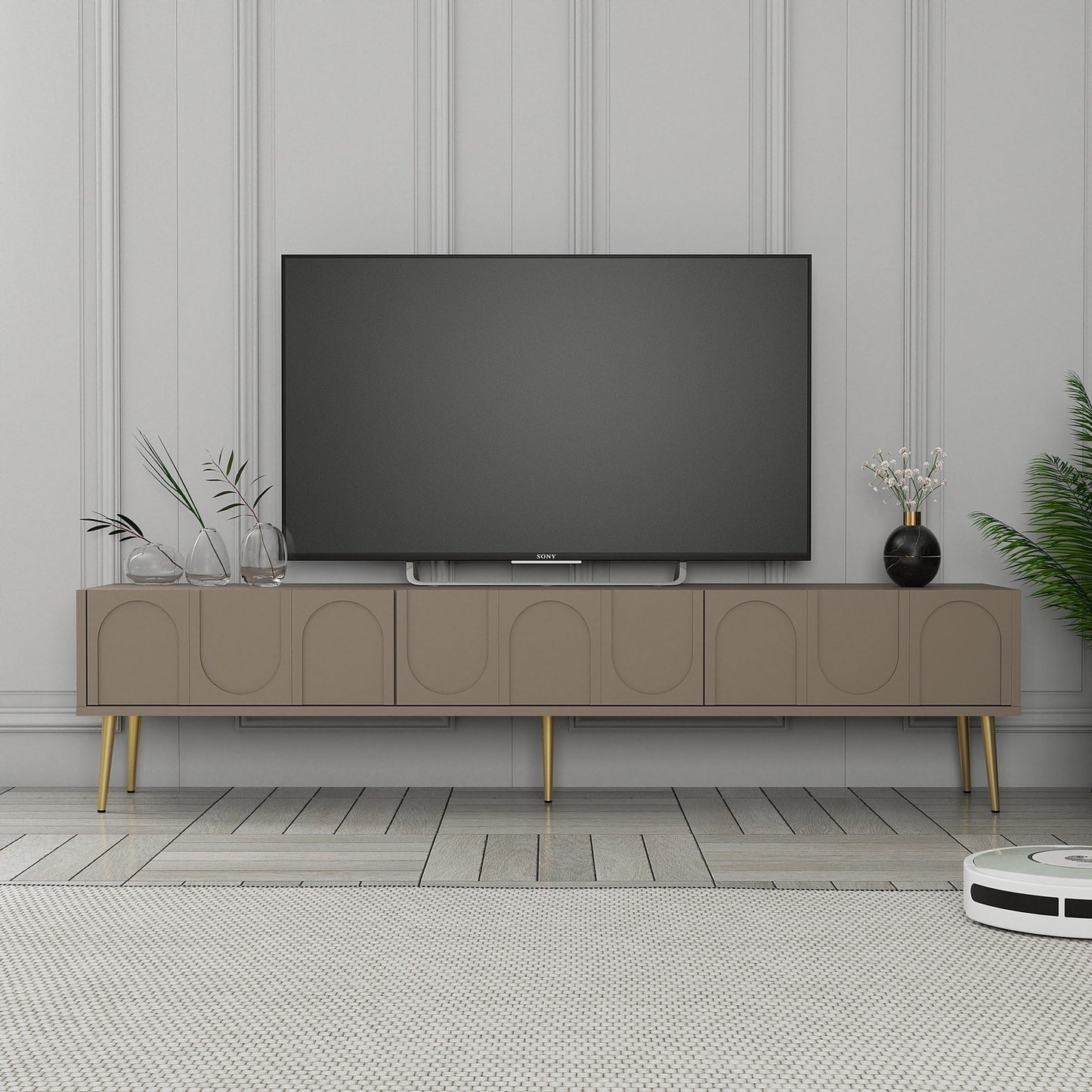TV jedinica SALMA