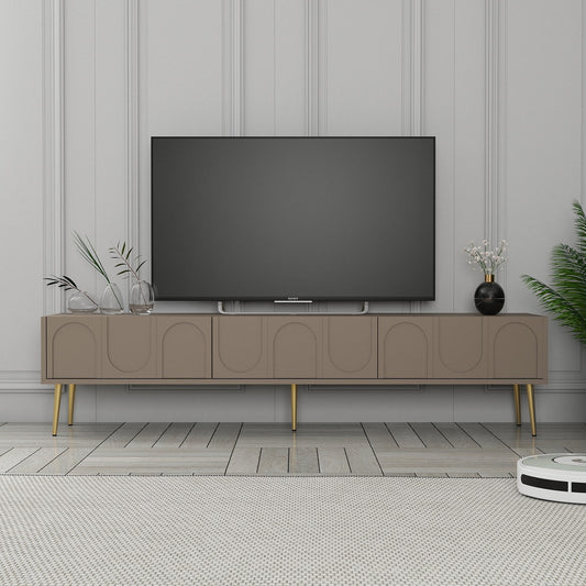 TV jedinica SALMA