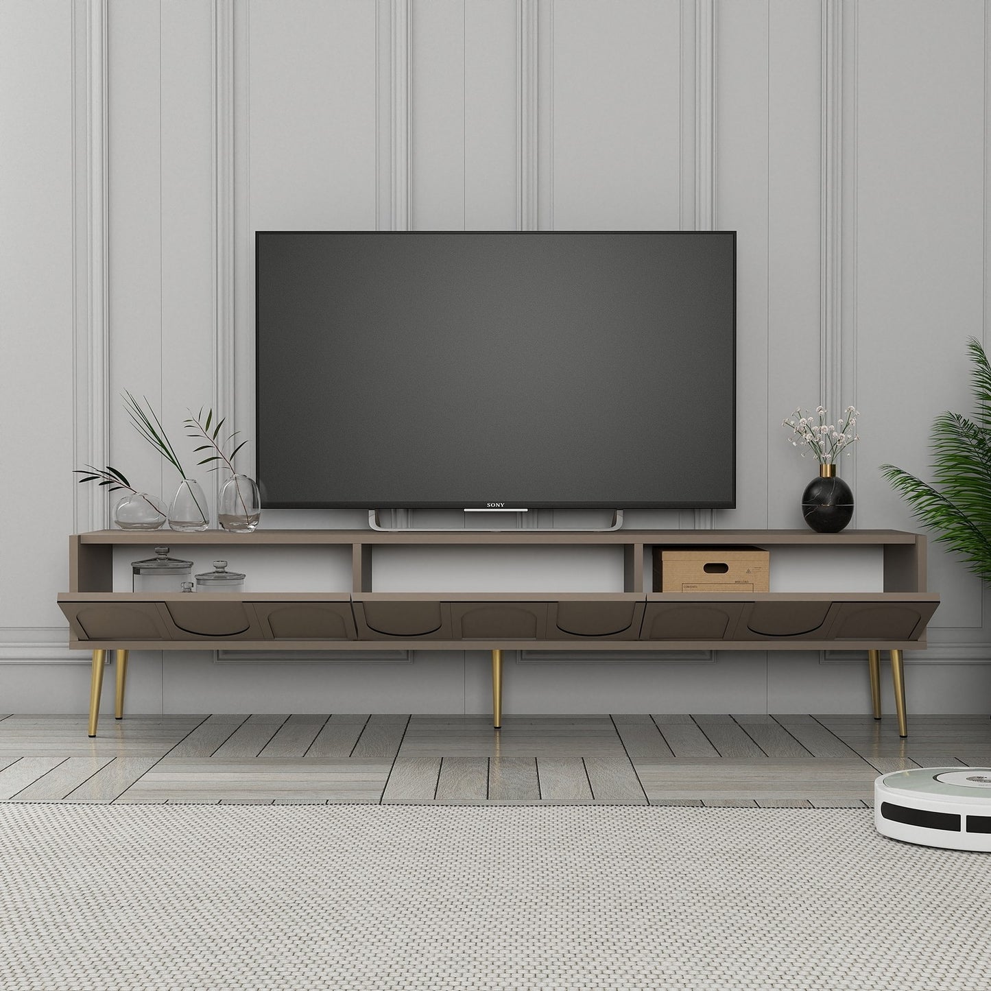 TV jedinica SALMA