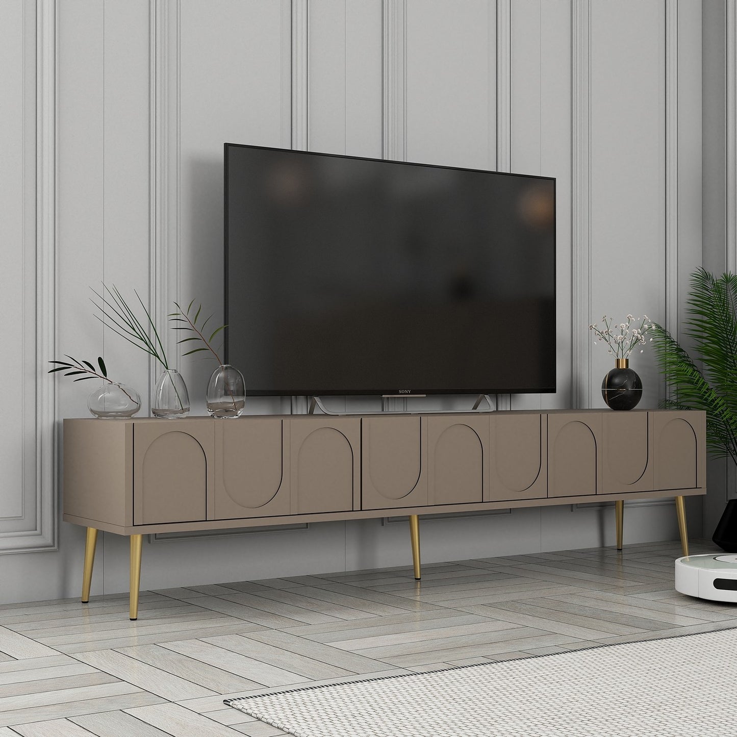 TV jedinica SALMA