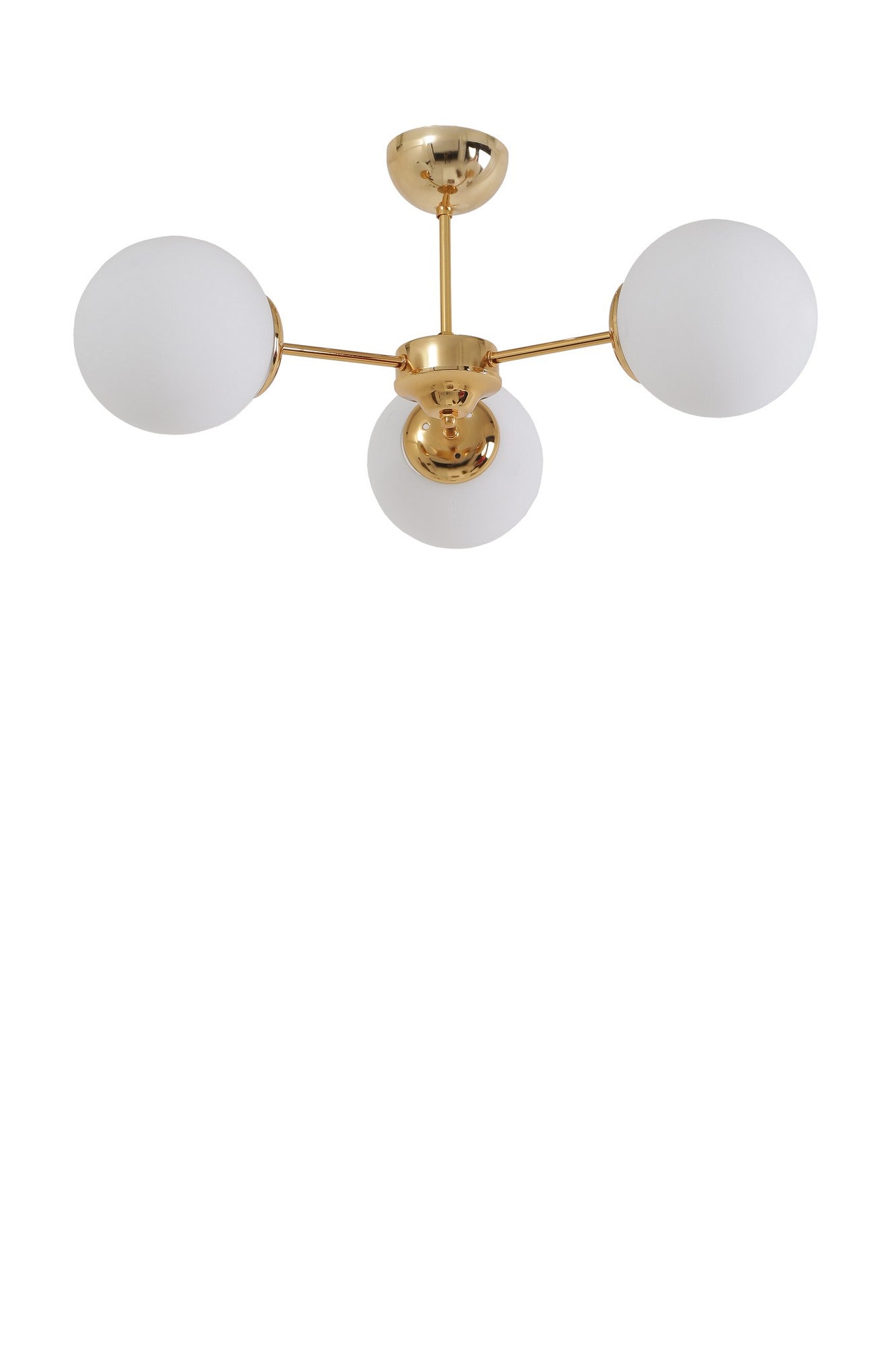 732b6bcdecb704fa042e973e37e1a902