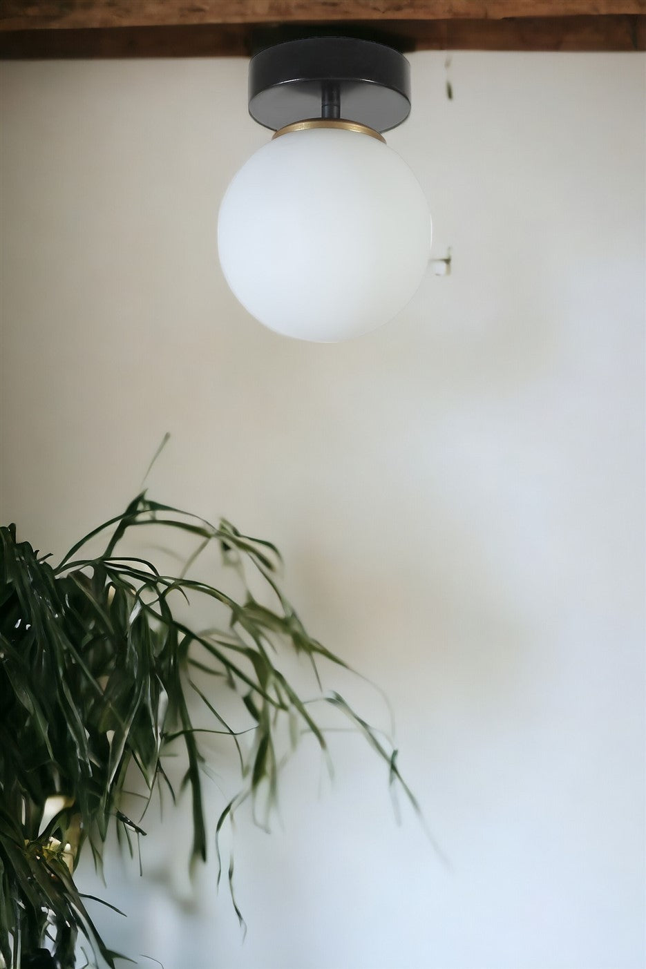 Luster EVERETT, crna boja, bijela boja