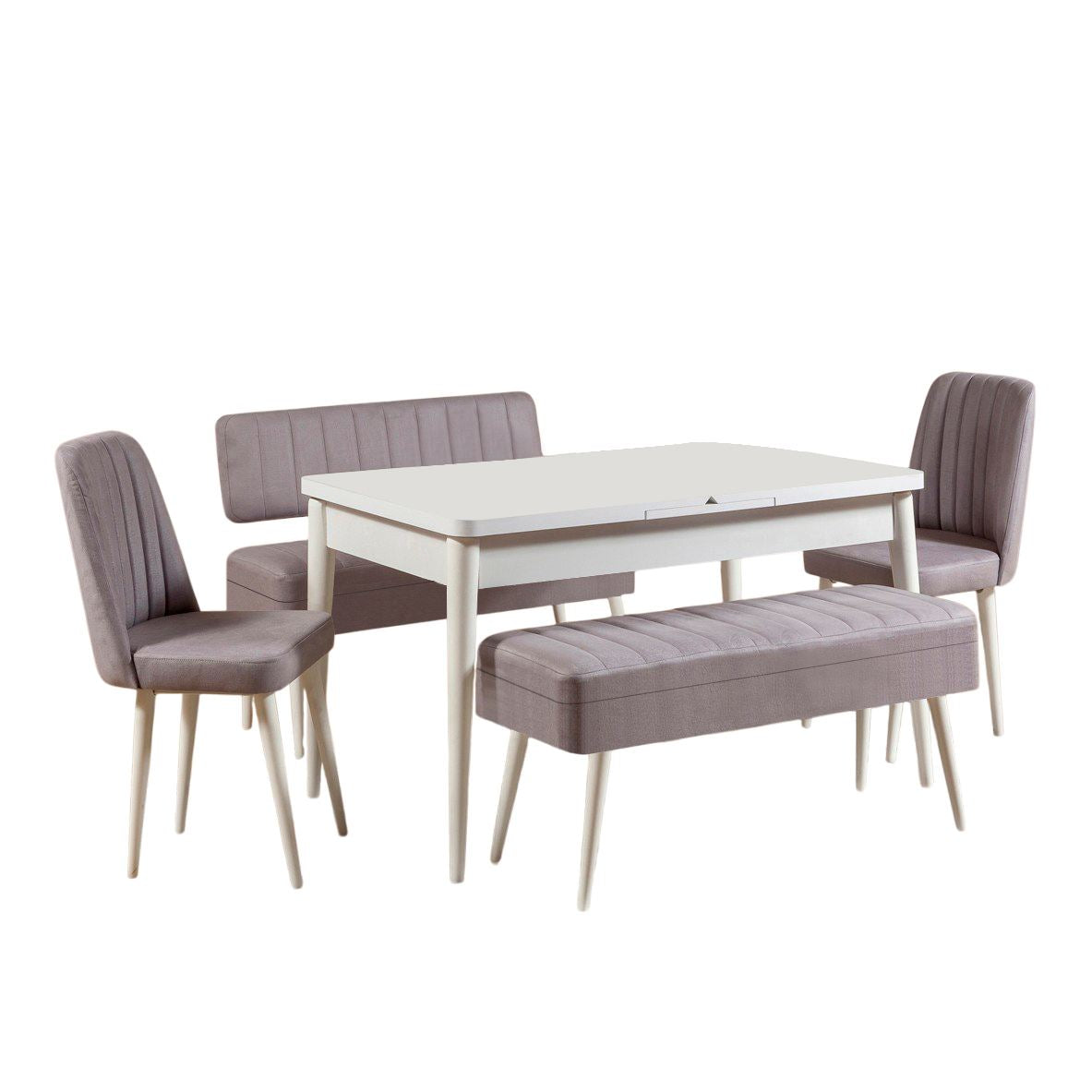 Set stola i stolica (5 komada), Vina 0701 - 4 - White, Grey
