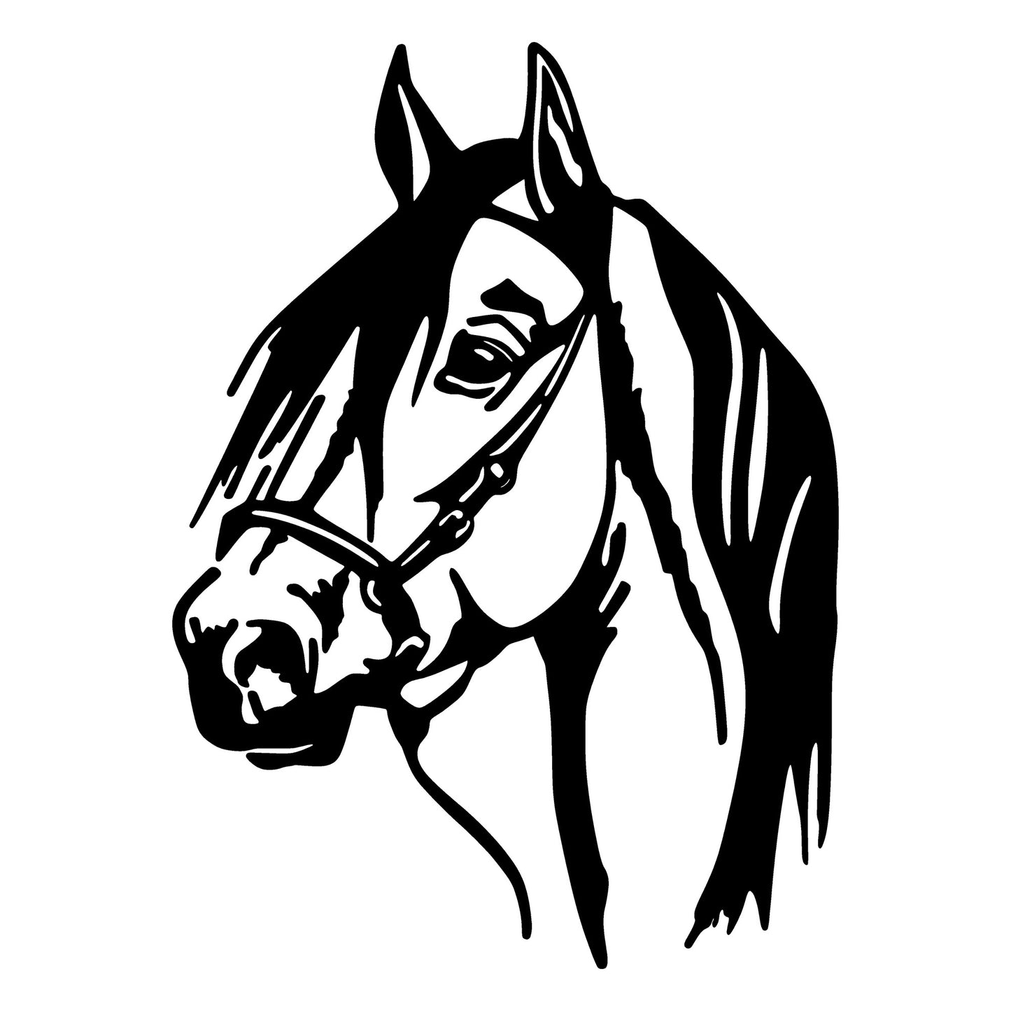 Metalna zidna dekoracija, Horse Head
