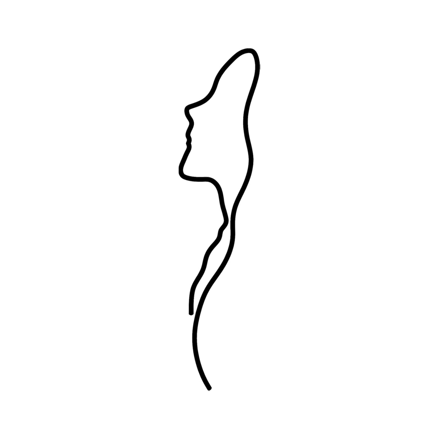Metalna zidna dekoracija, Woman Face Profile