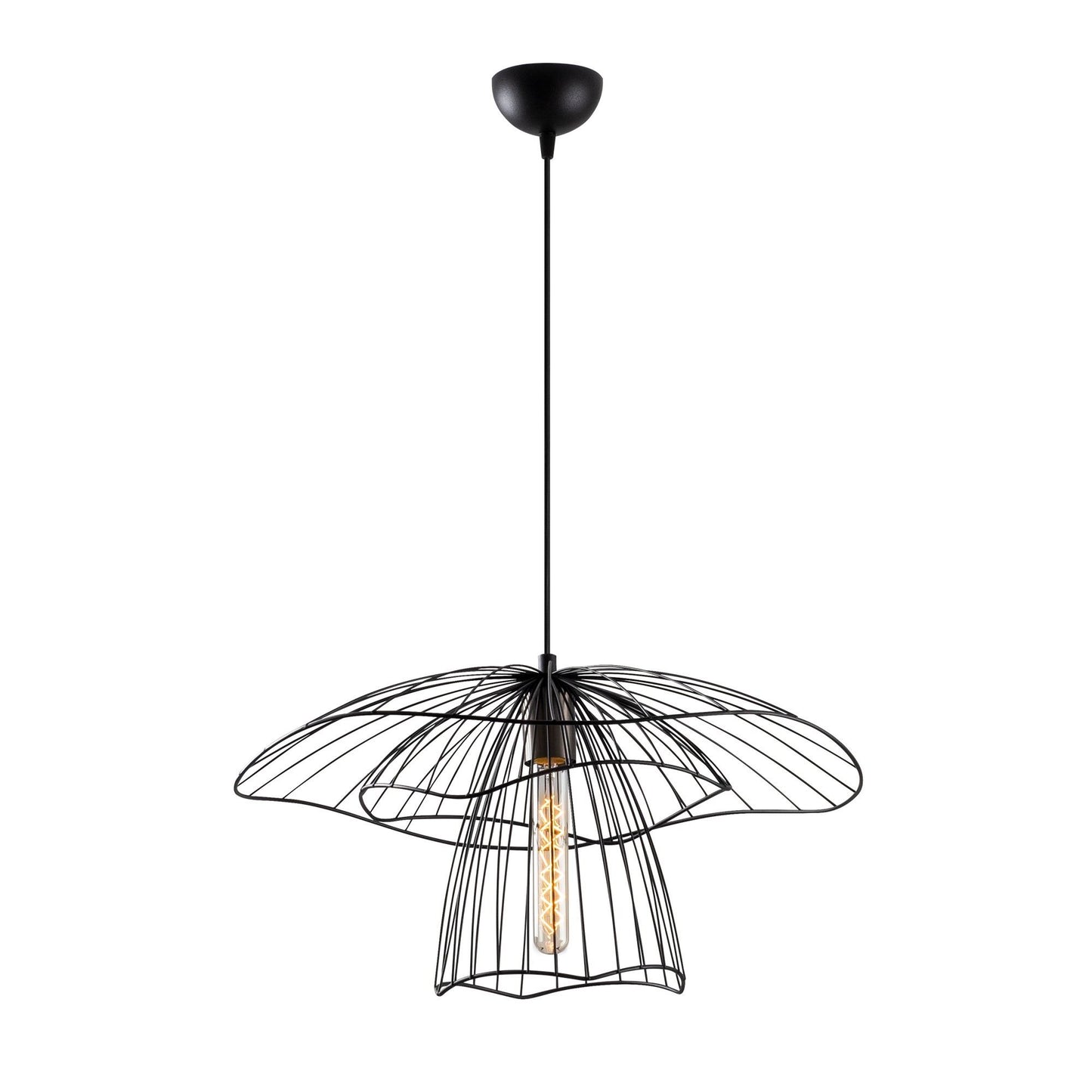 Luster, 892OPV1844