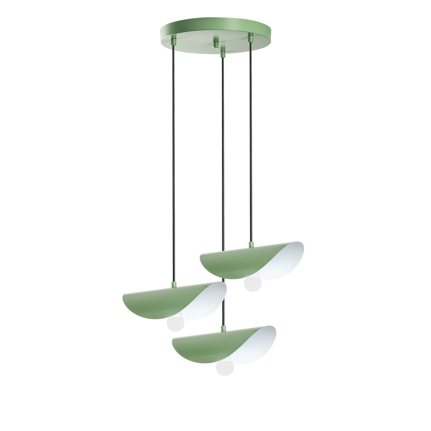 Luster DANI, mint