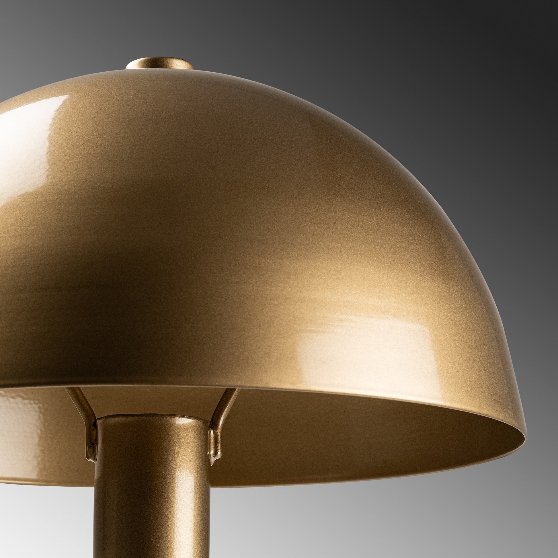 b92b79d4f2bd76d7cd00051aac823662