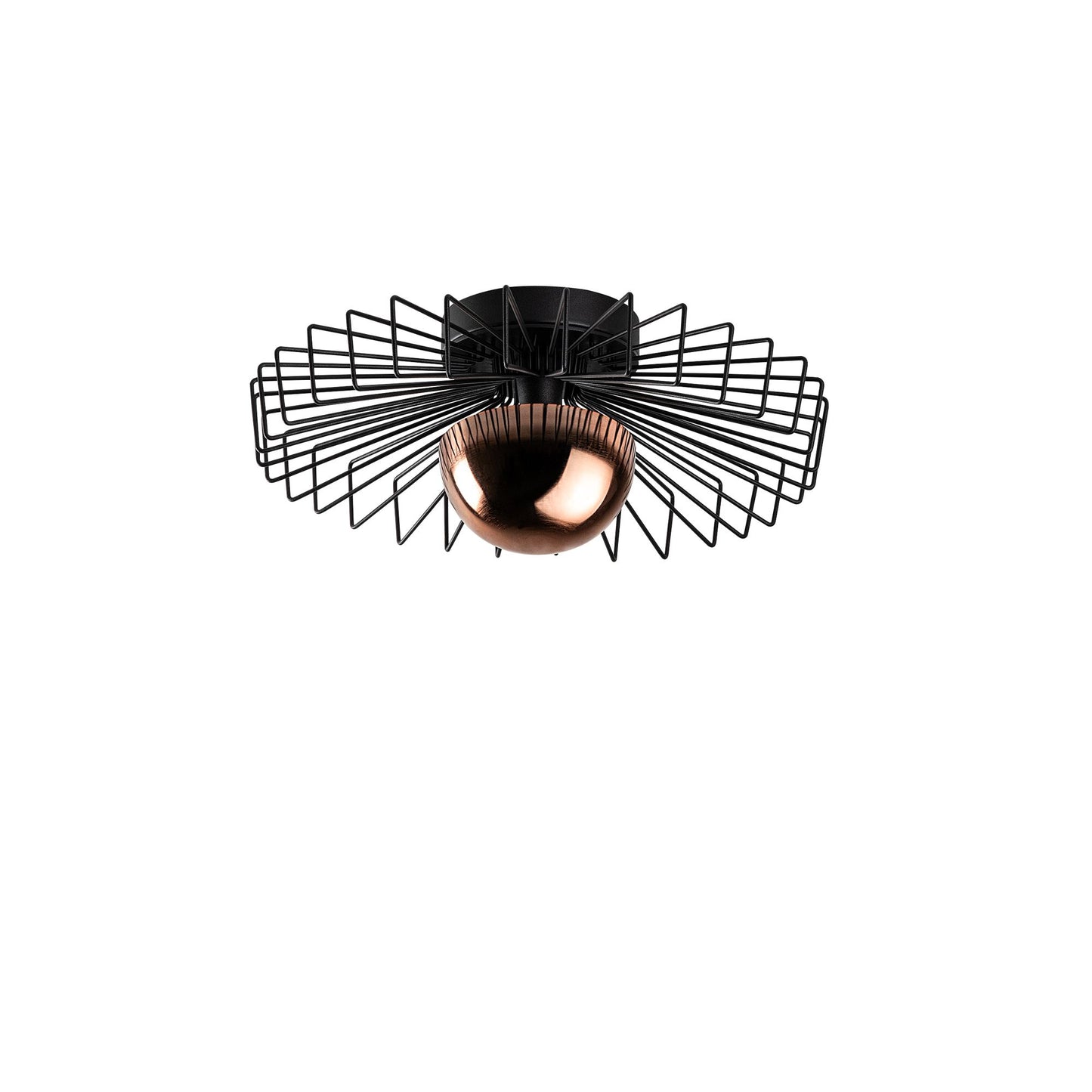 Luster OCTAVIA