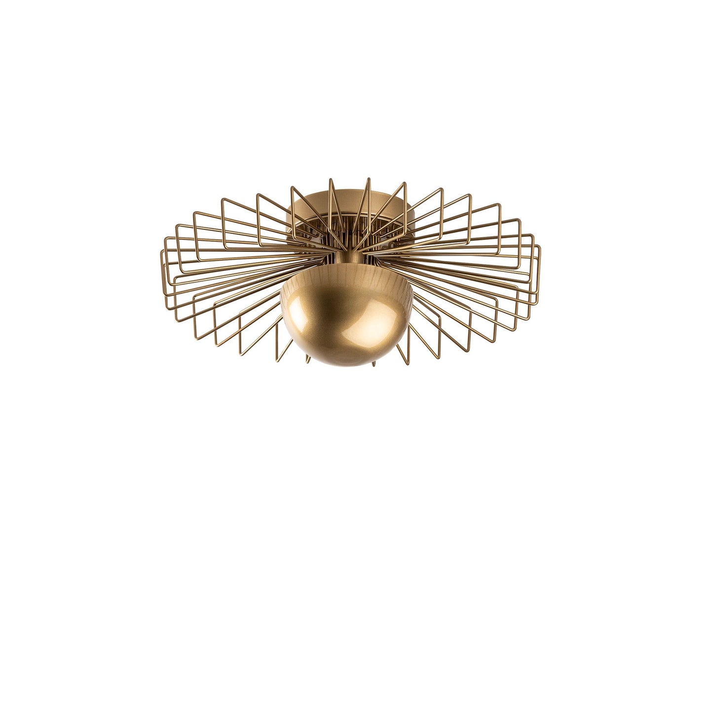Luster SYDNEY
