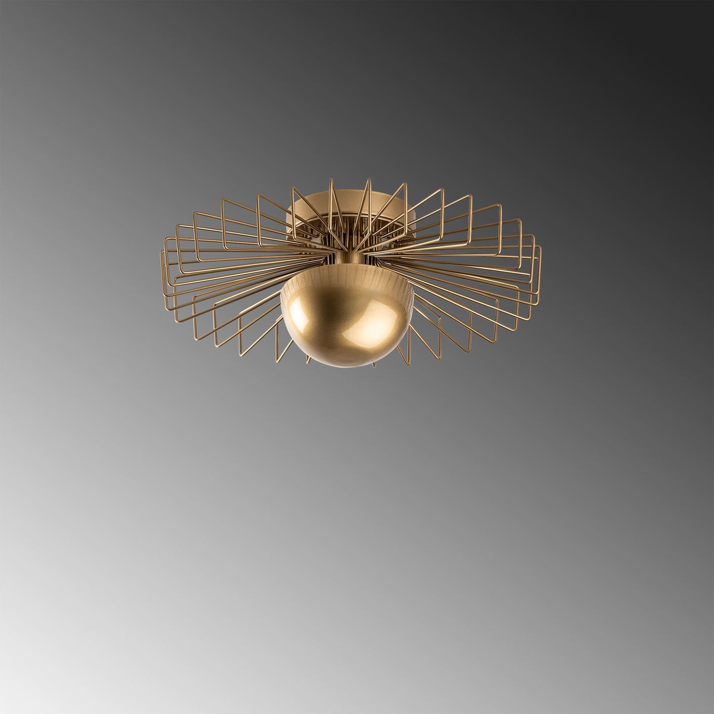 Luster SYDNEY