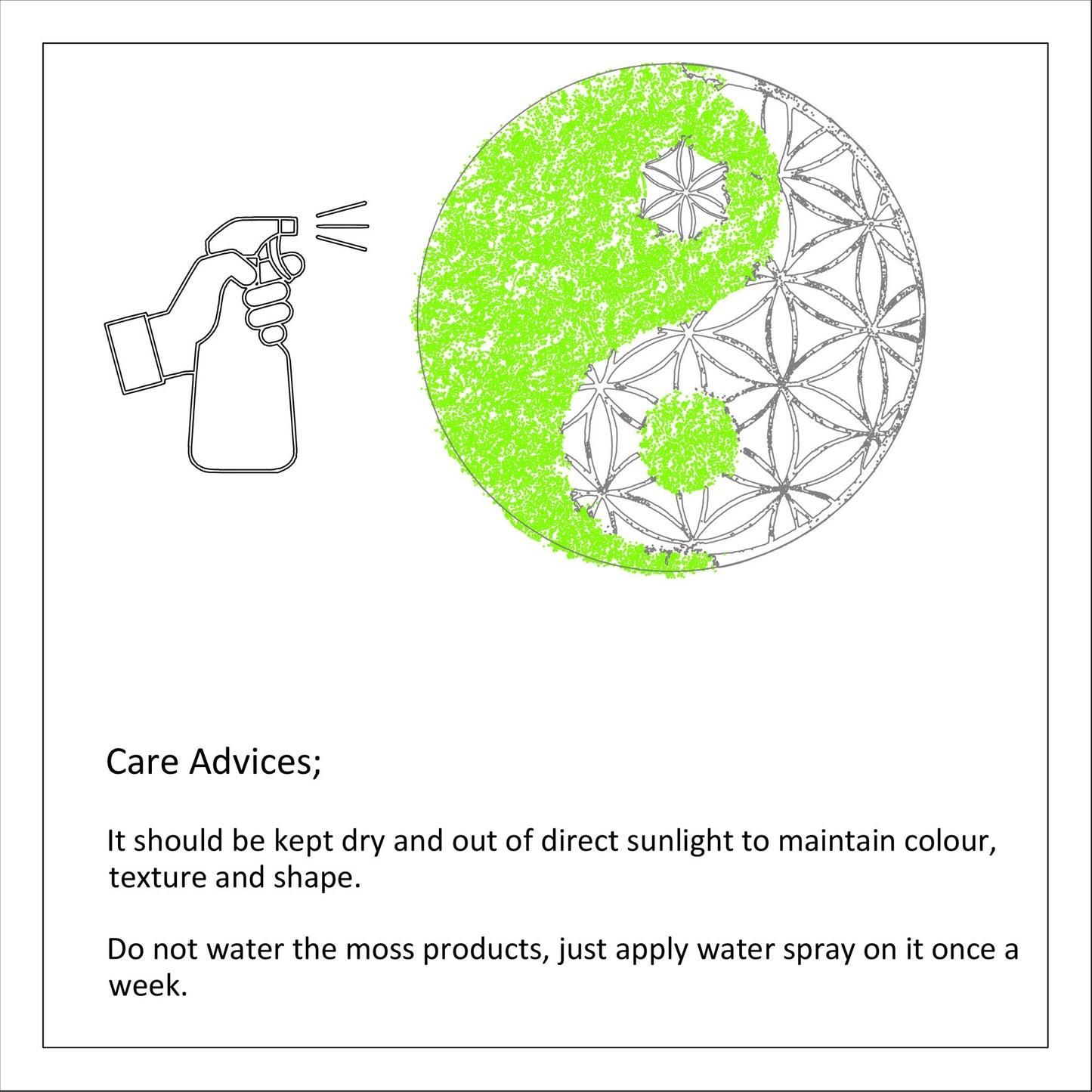 Zidna dekoracija ANIYA