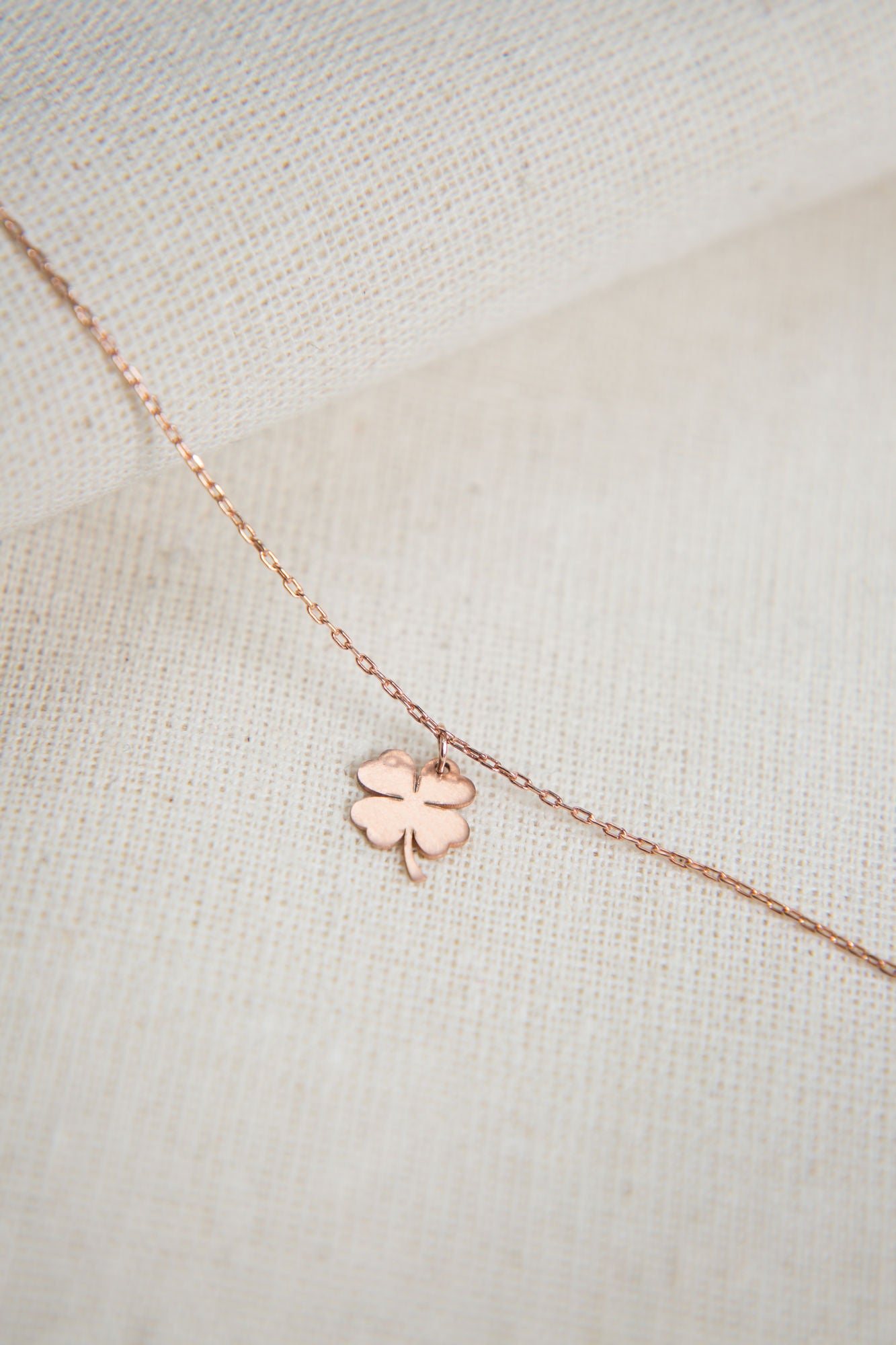 769f02755aea055182ff05a43912706e