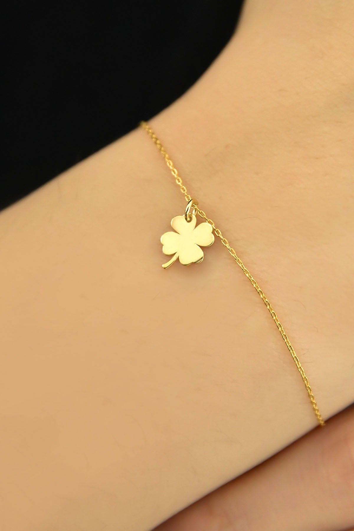 0109076e799c74856c40884e711ecfac