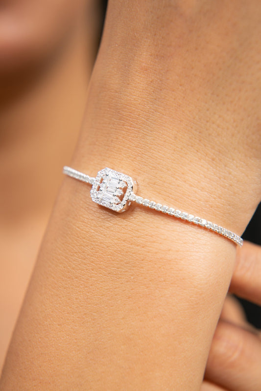 703877261d1ce32d13eb1e79b8db7a50