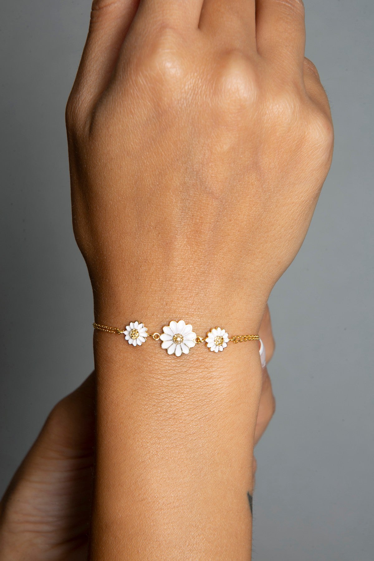 acc9aa3882870505224be8e864312499