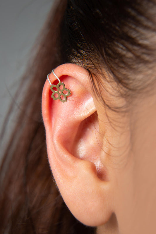 d87fb75d3706838c475c64f8a2552d56