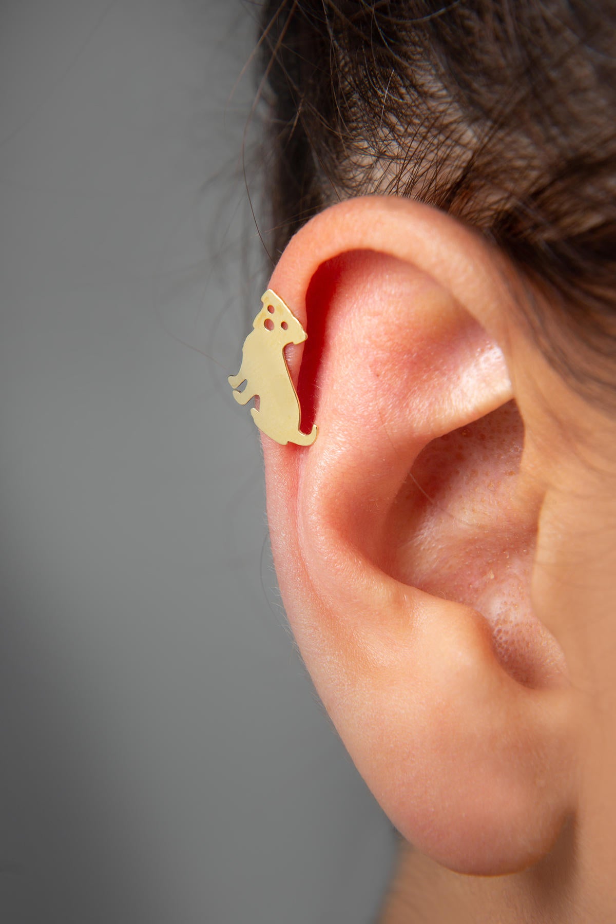 874f2560ba5692448c693d25502288bb