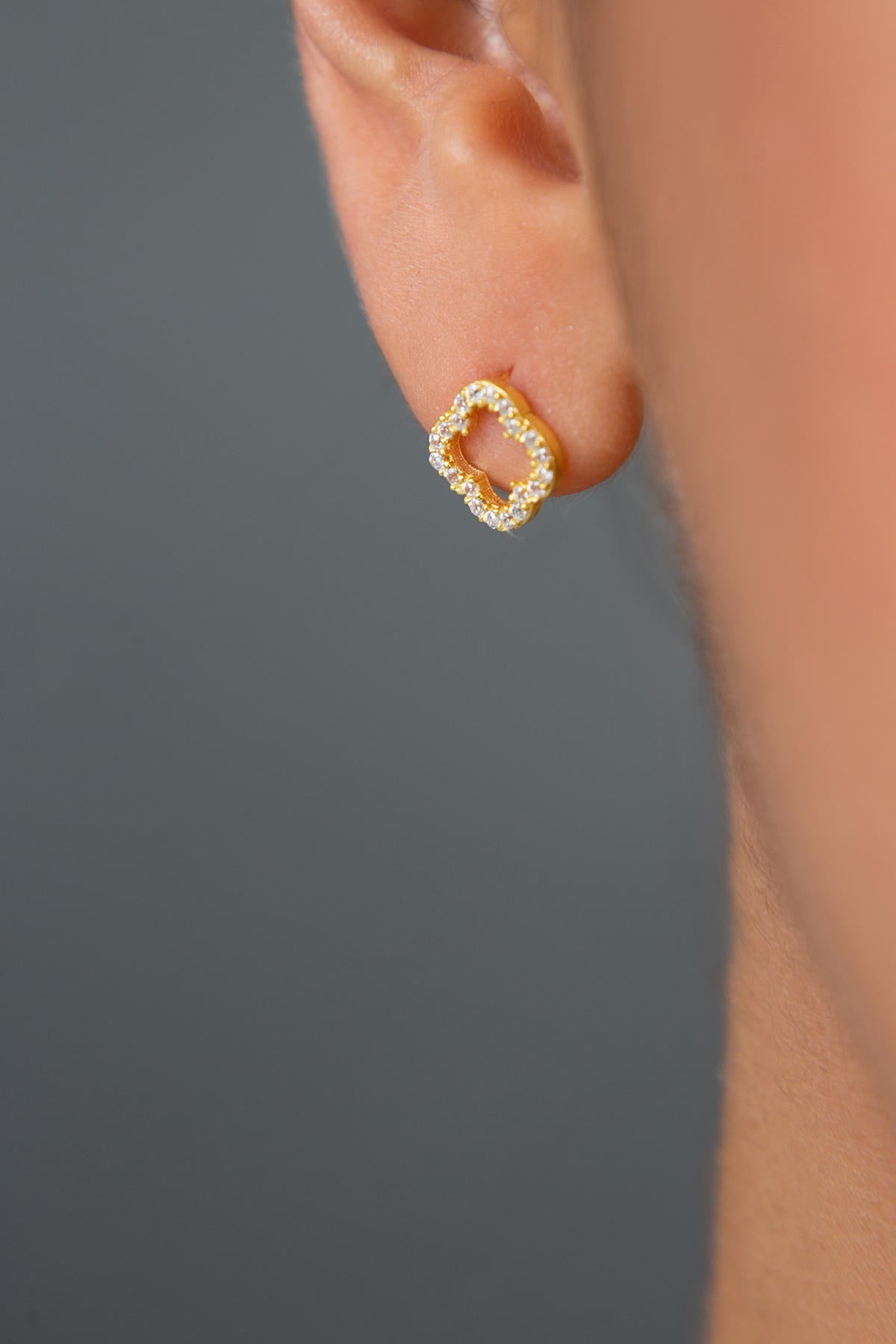 e31da4b1aa7ce118f7bc9e8044bec80b