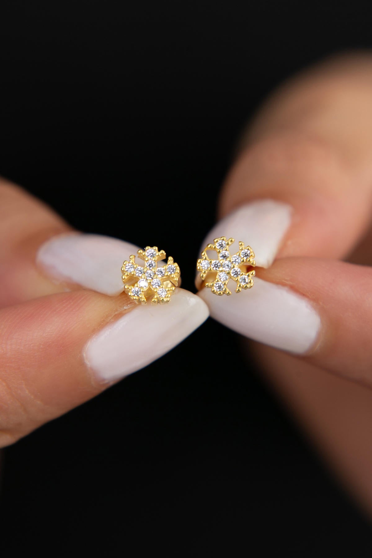 2687049375cbe90f028e504fb3df1959