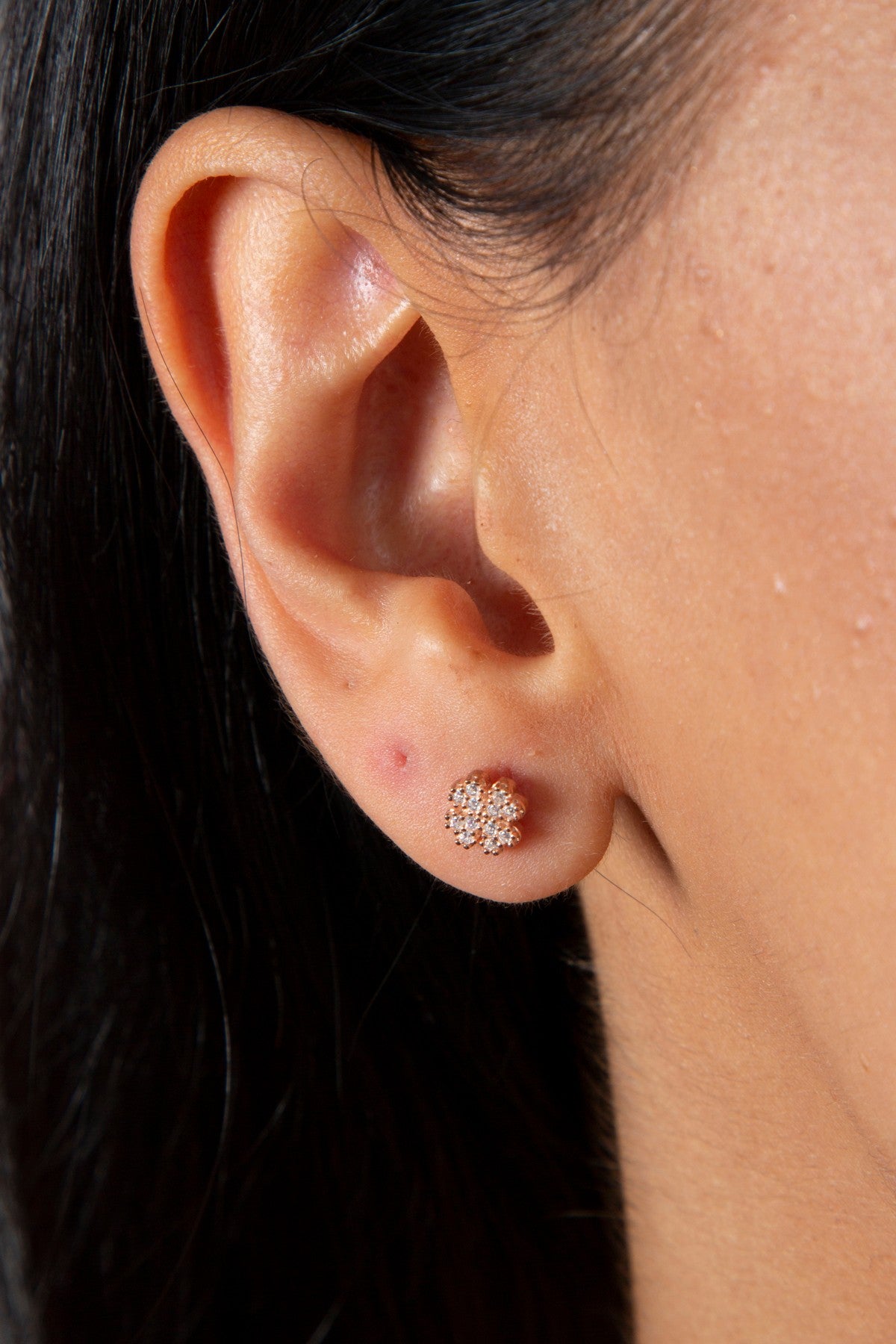 2d1320b53ae44968fde8151d1137e6b0