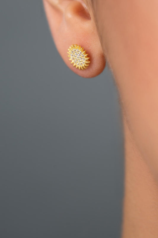 b442dd6d6fe2d420c2e1c545d2056105