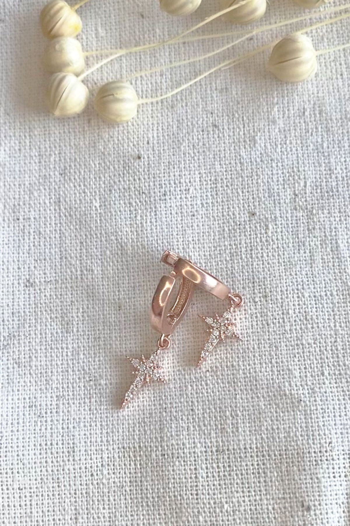 9ed878ff15c169e7ac6d4051a0b1a15d