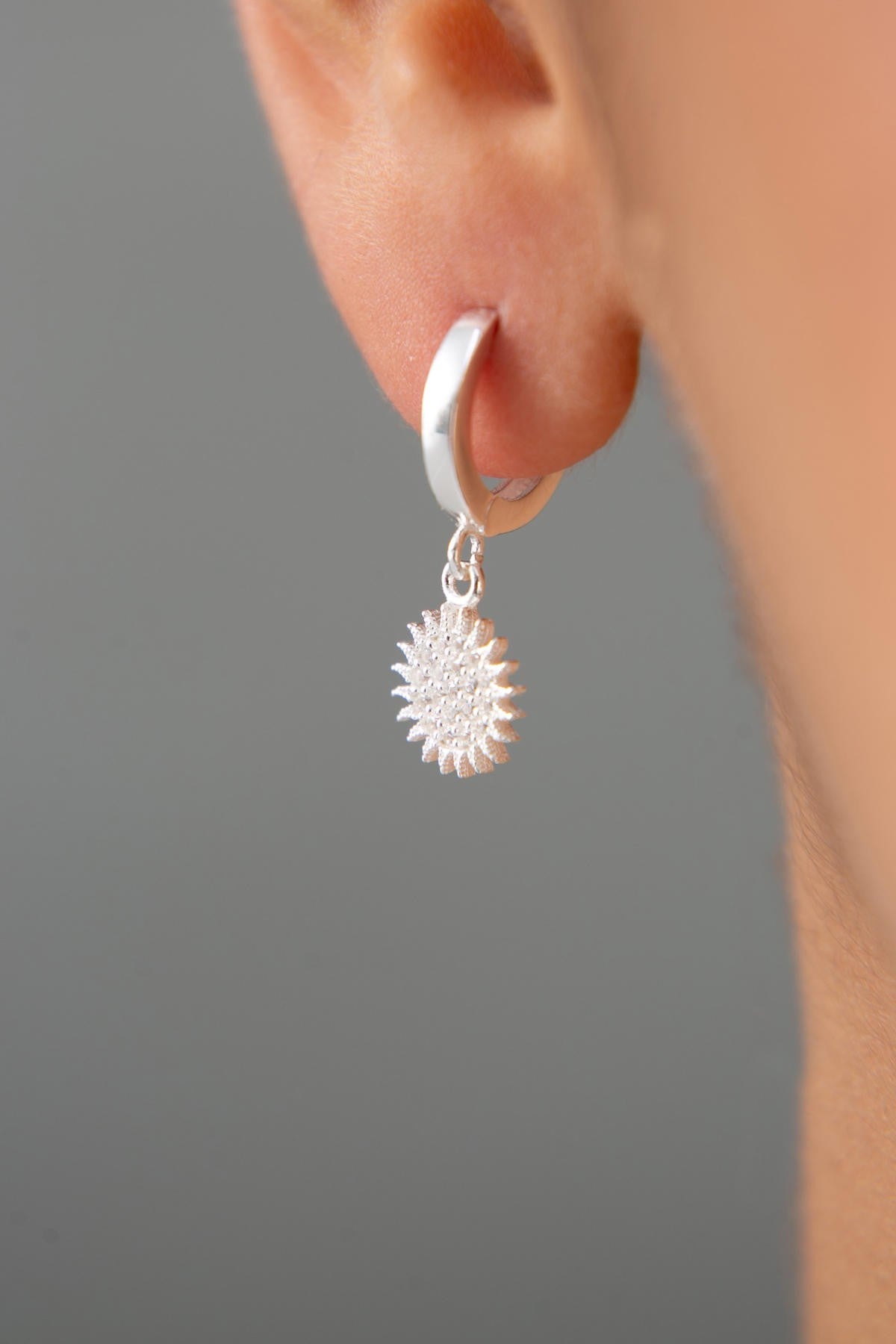 0329971ccddf01d812da6fa2585f36c5