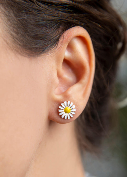 1dd844dcc9f43c8bb033a23036dc041f