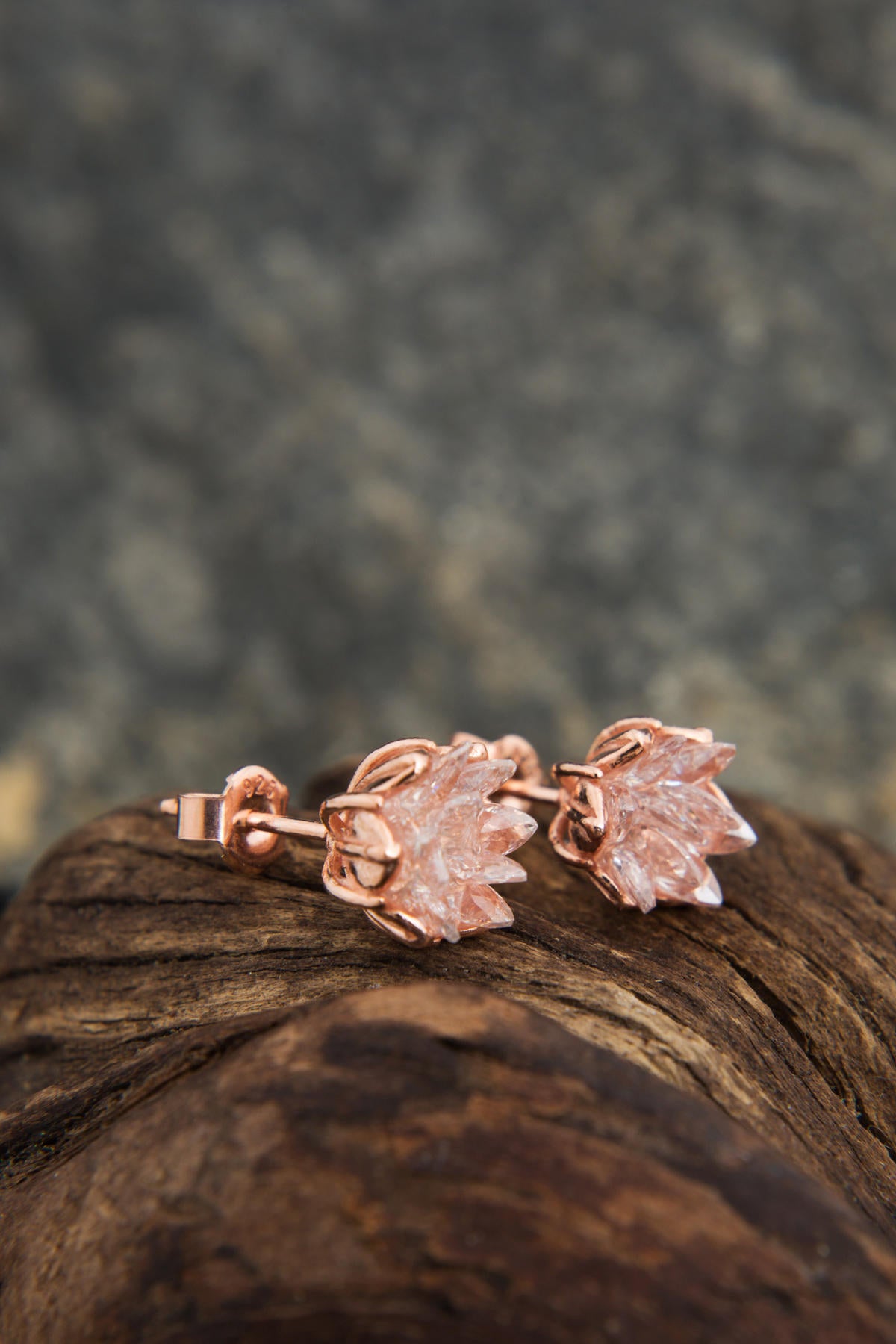 8c18d38a44345f53932130961b406991