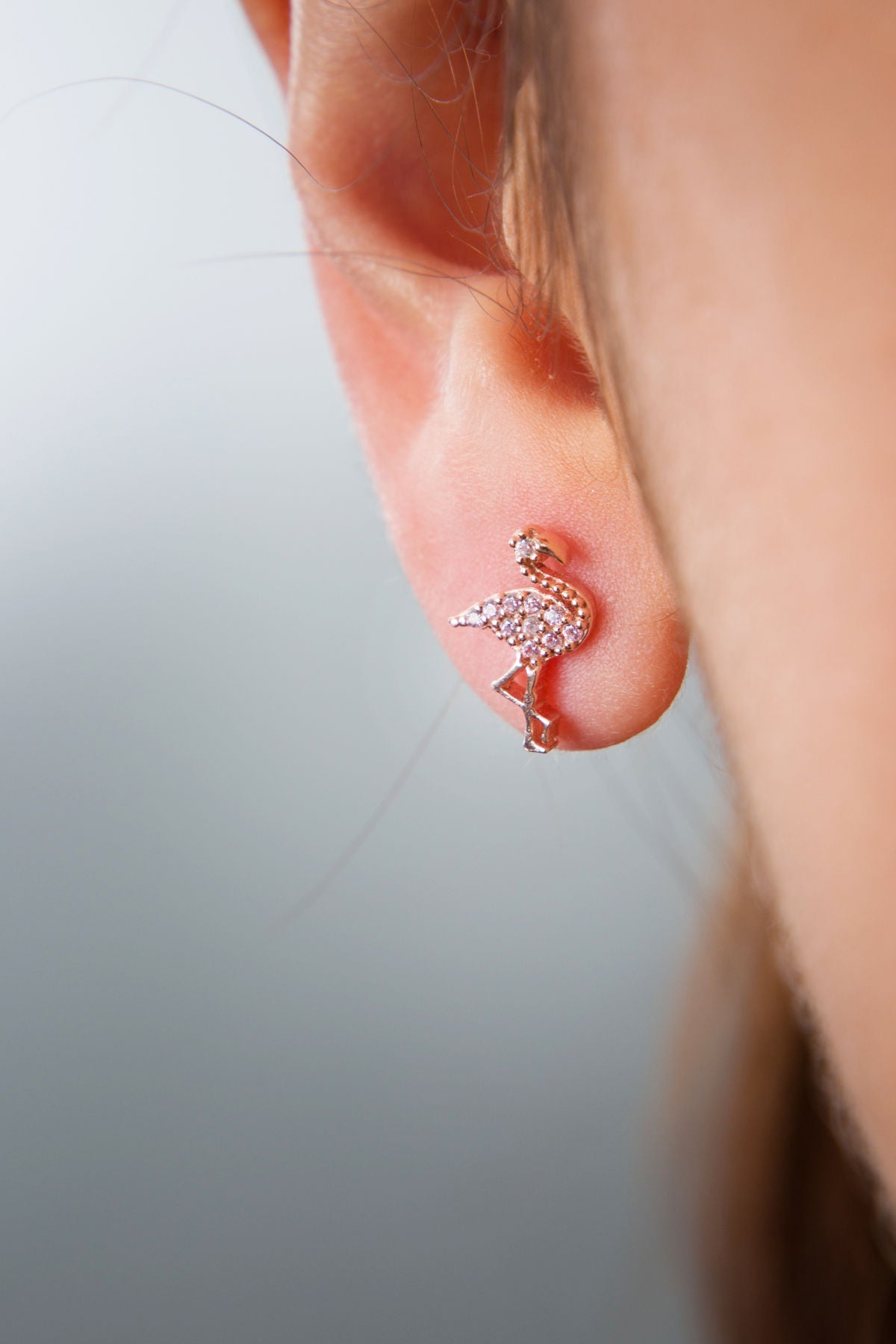 40d71ee18dec0831f98f6d216023843c