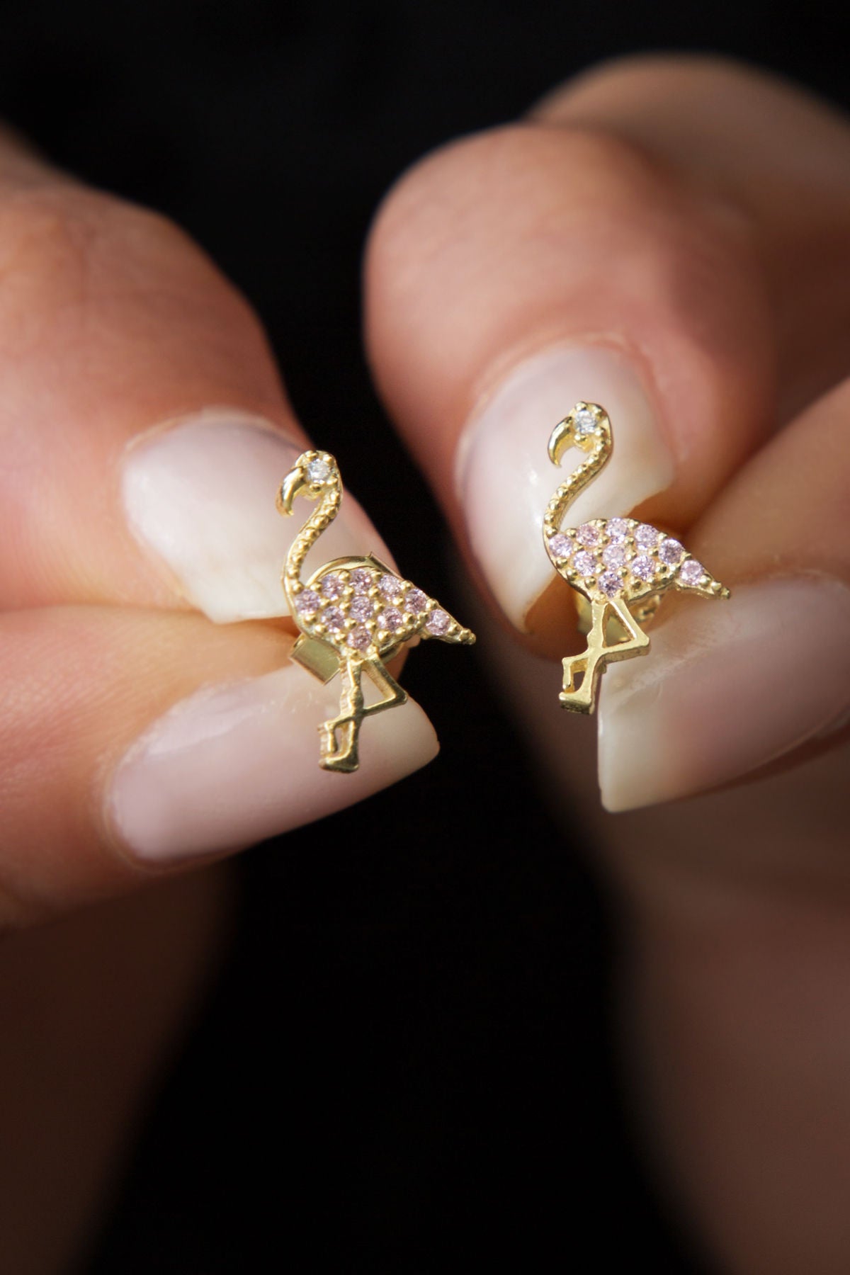 e24249a6df71b44c0191c53fa91c76f9