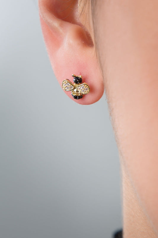 c89b2d769baf96b50ac3323eea05b654